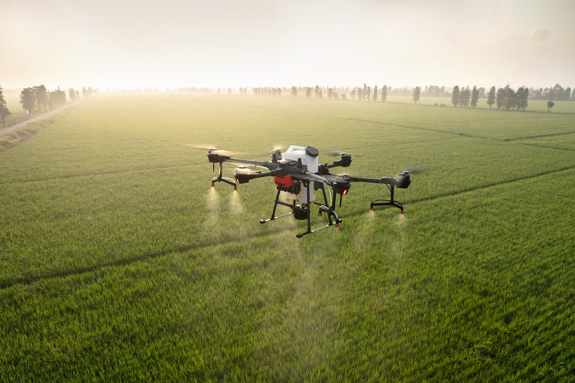 Dron sobre cultivo